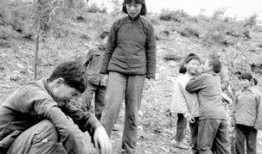 电影野山在线观看,探寻自然与人性的原始共鸣